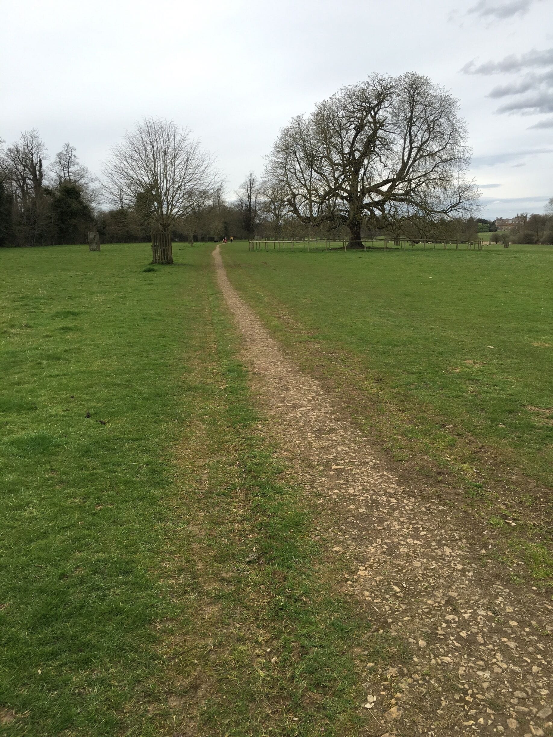 Lovely place for dogs to run crazy🐾🐾🐾🐾