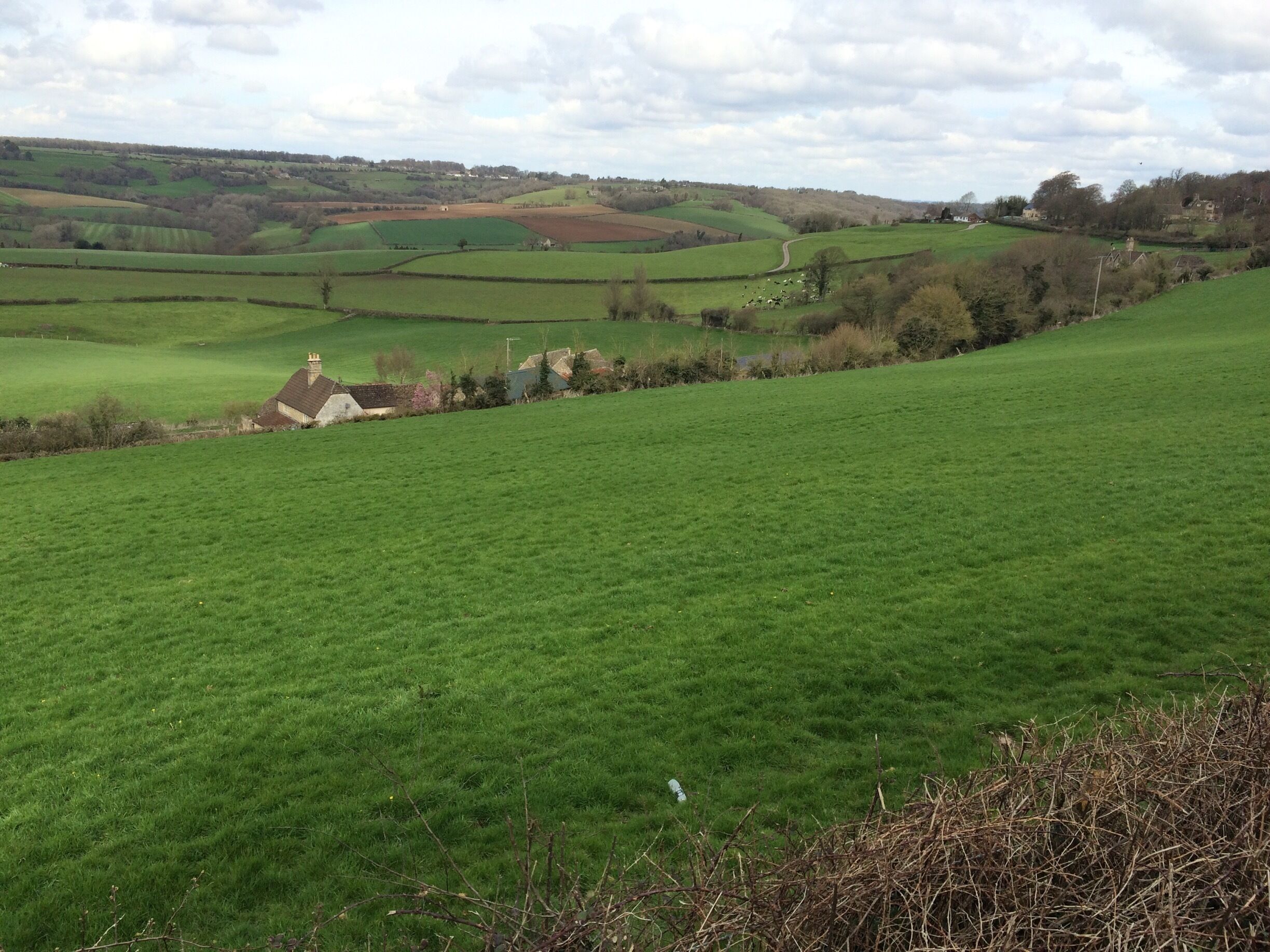 The view I'm enjoying on my run every day