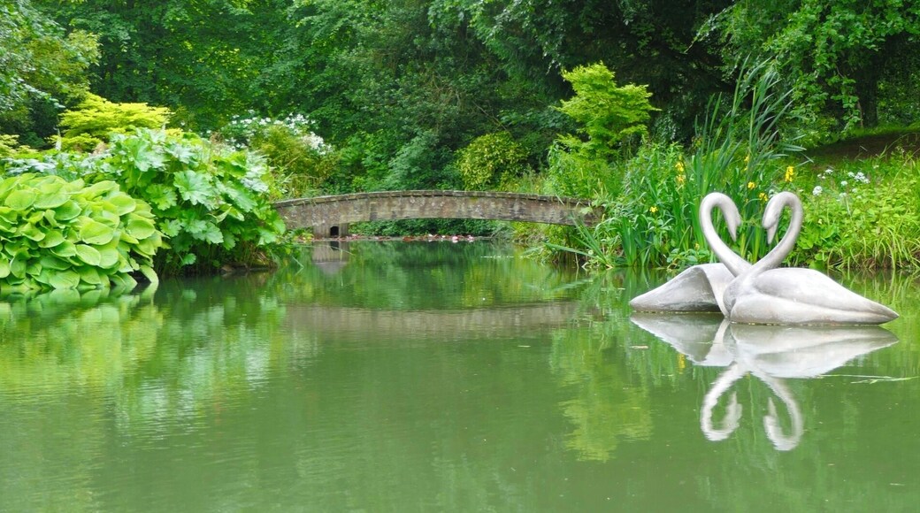 In the private gardens of Nick Mason of Pink Floyd fame. taken on one of his charity open days.