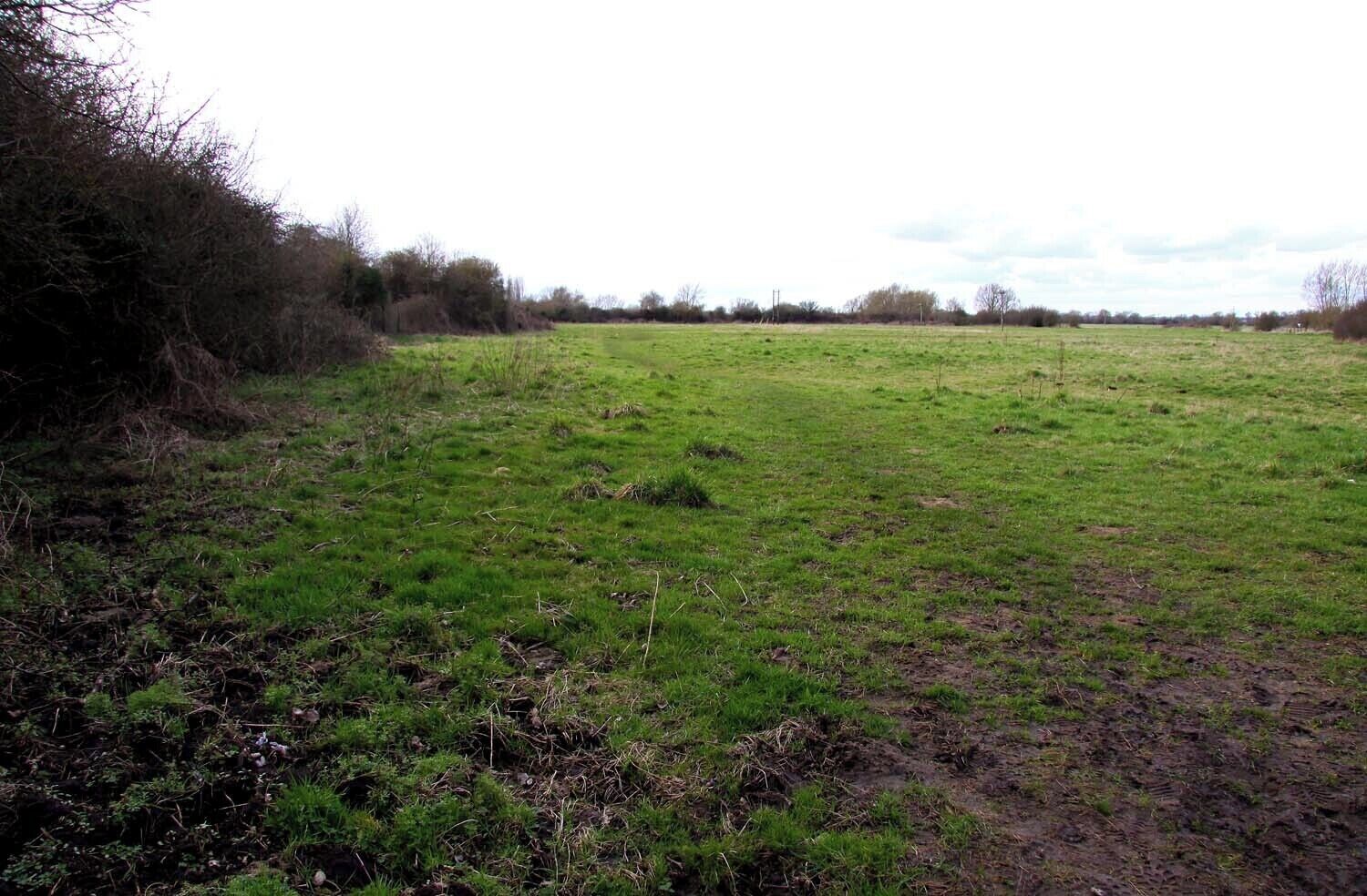 The Thames Path crosses a field