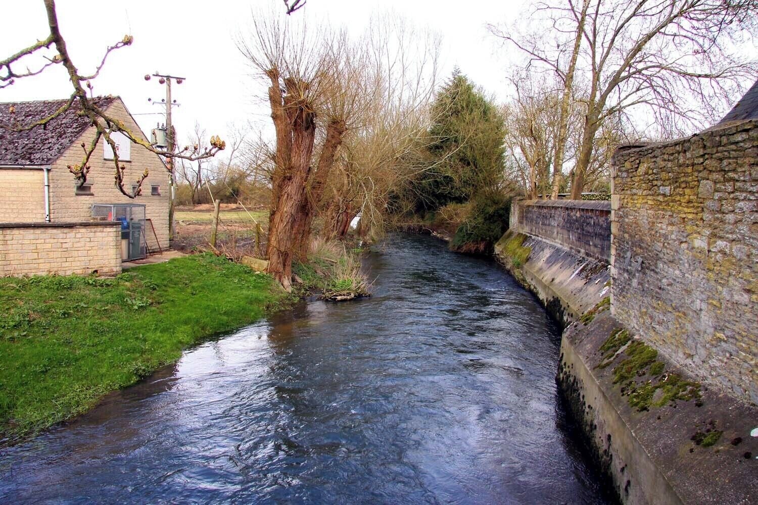 The River Thames looking downstream