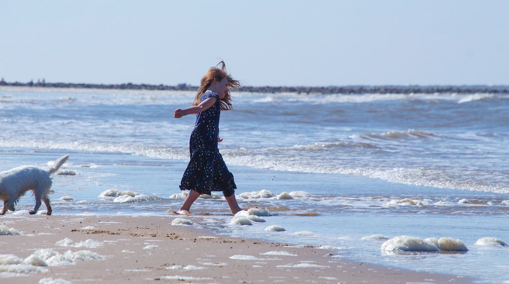 Cromer