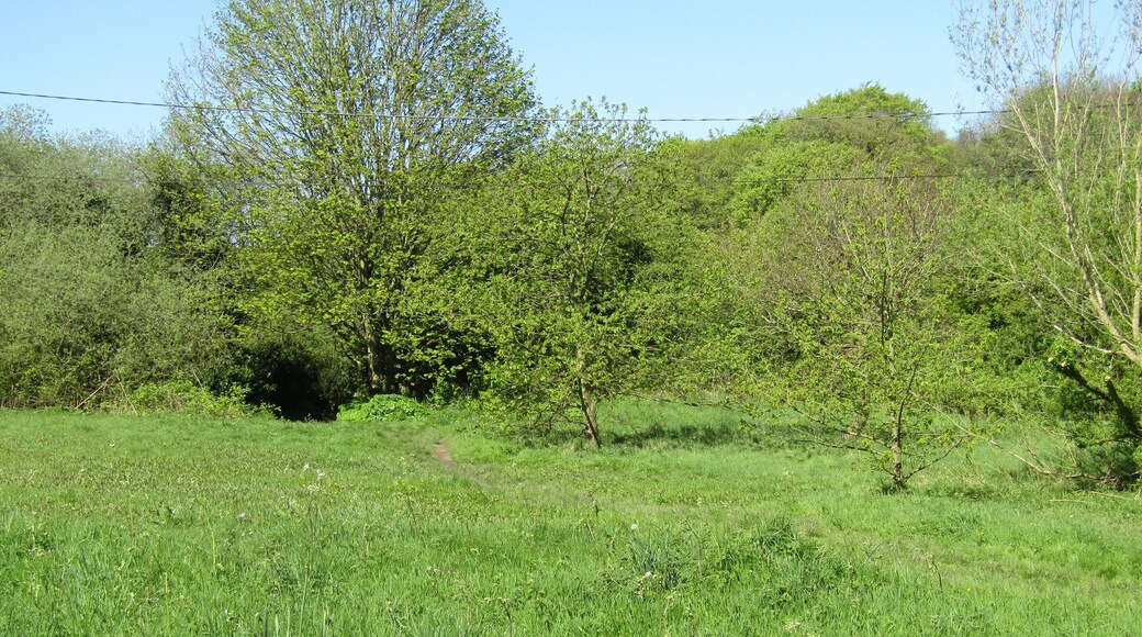 A footpath to Sheringham leading from Banville Lane, East Runton, Cromer, Norfolk, England.