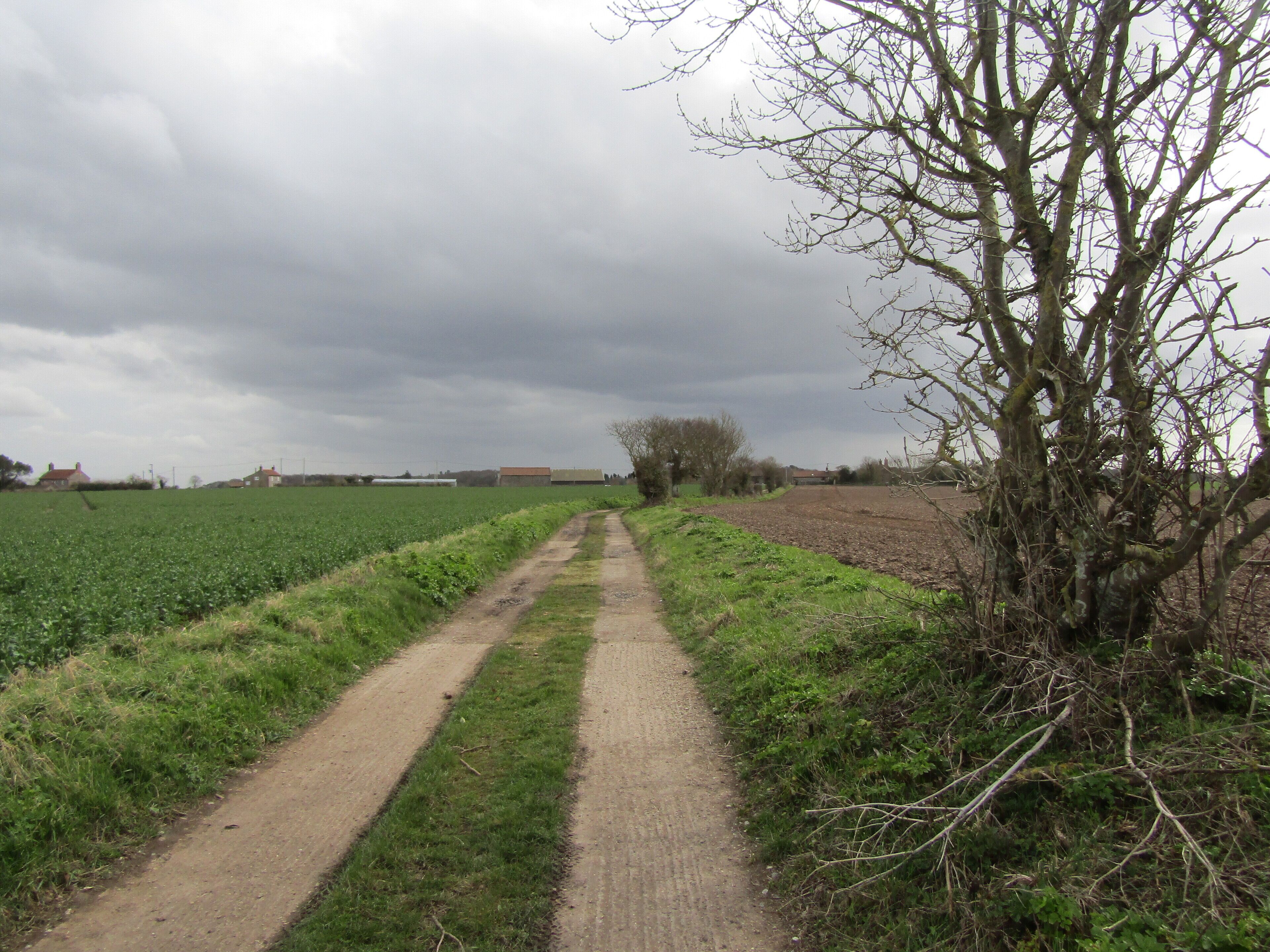Looking south along a farm track and bridleway which are also a section of the Overstrand Circular Walk and Pastonway footpaths located at Hungary Hill, Northrepps, Cromer, Norfolk.