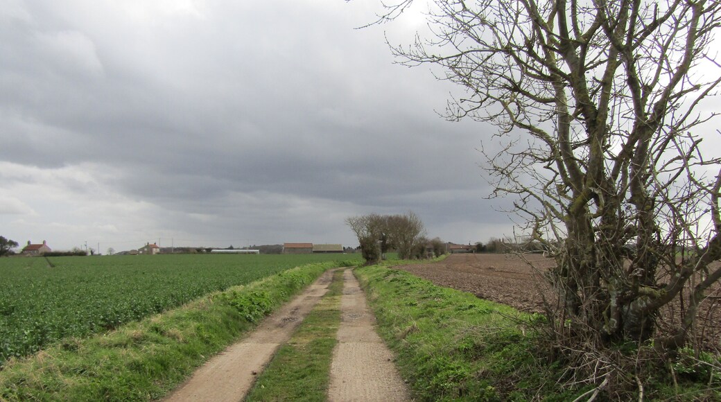 Looking south along a farm track and bridleway which are also a section of the Overstrand Circular Walk and Pastonway footpaths located at Hungary Hill, Northrepps, Cromer, Norfolk.