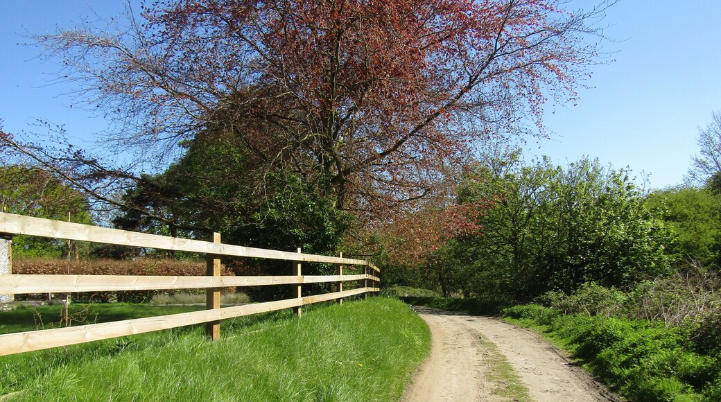 Looking northwards along Banvilles Cottage Drive which is south of the village of East Runton, Cromer, Norfolk, England.
