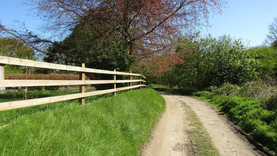 A dirt path alongside a wooden fence with trees and greenery in the background.