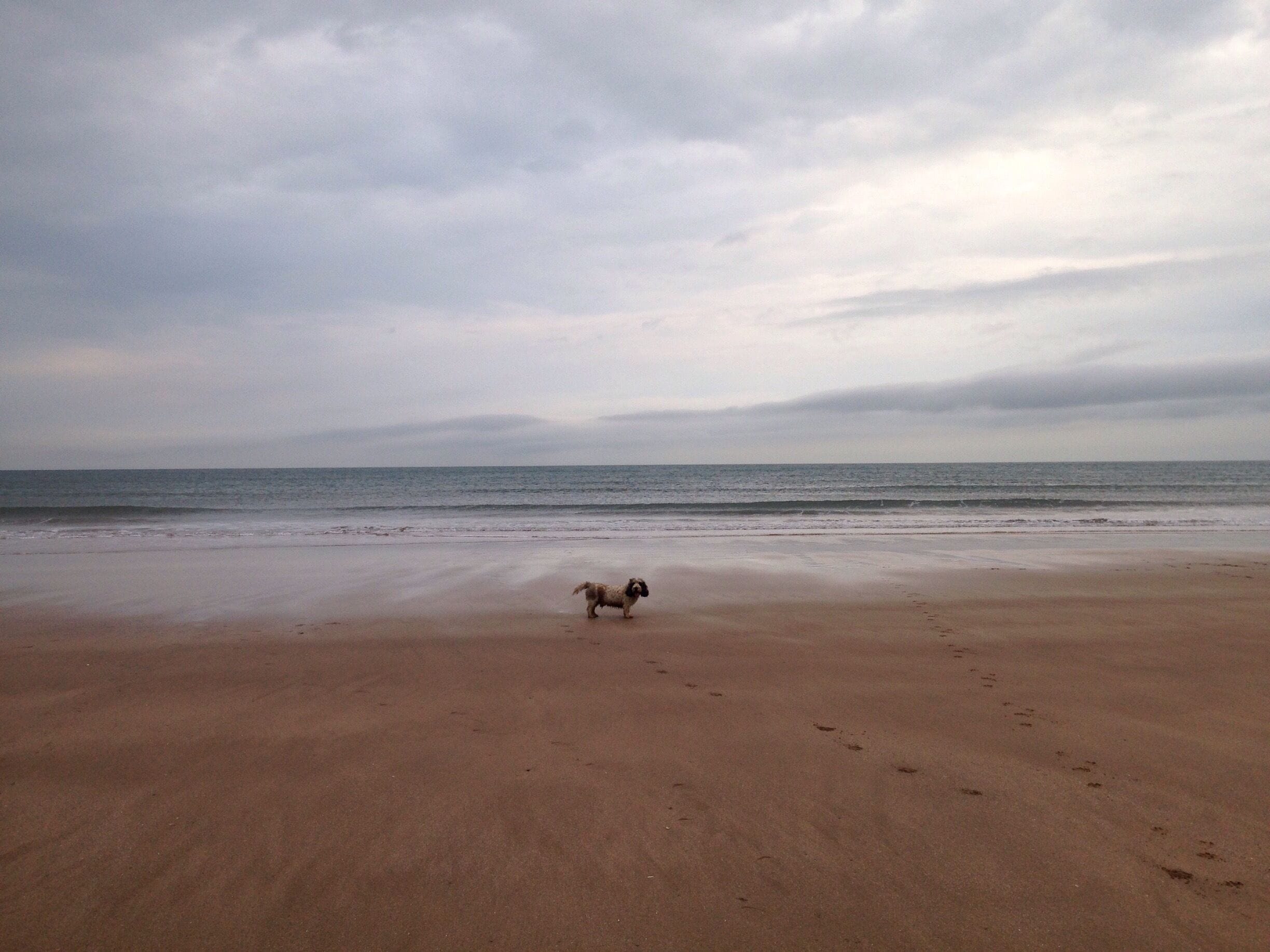 An empty Putsborough Beach, North Devon.