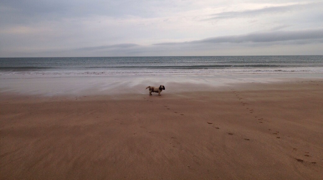 An empty Putsborough Beach, North Devon.
