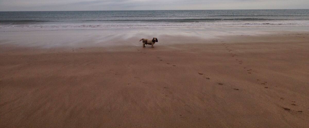An empty Putsborough Beach, North Devon.