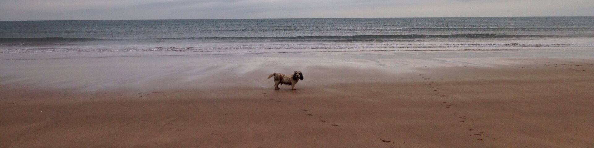 An empty Putsborough Beach, North Devon.