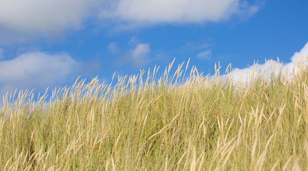 Croyde which includes tranquil scenes