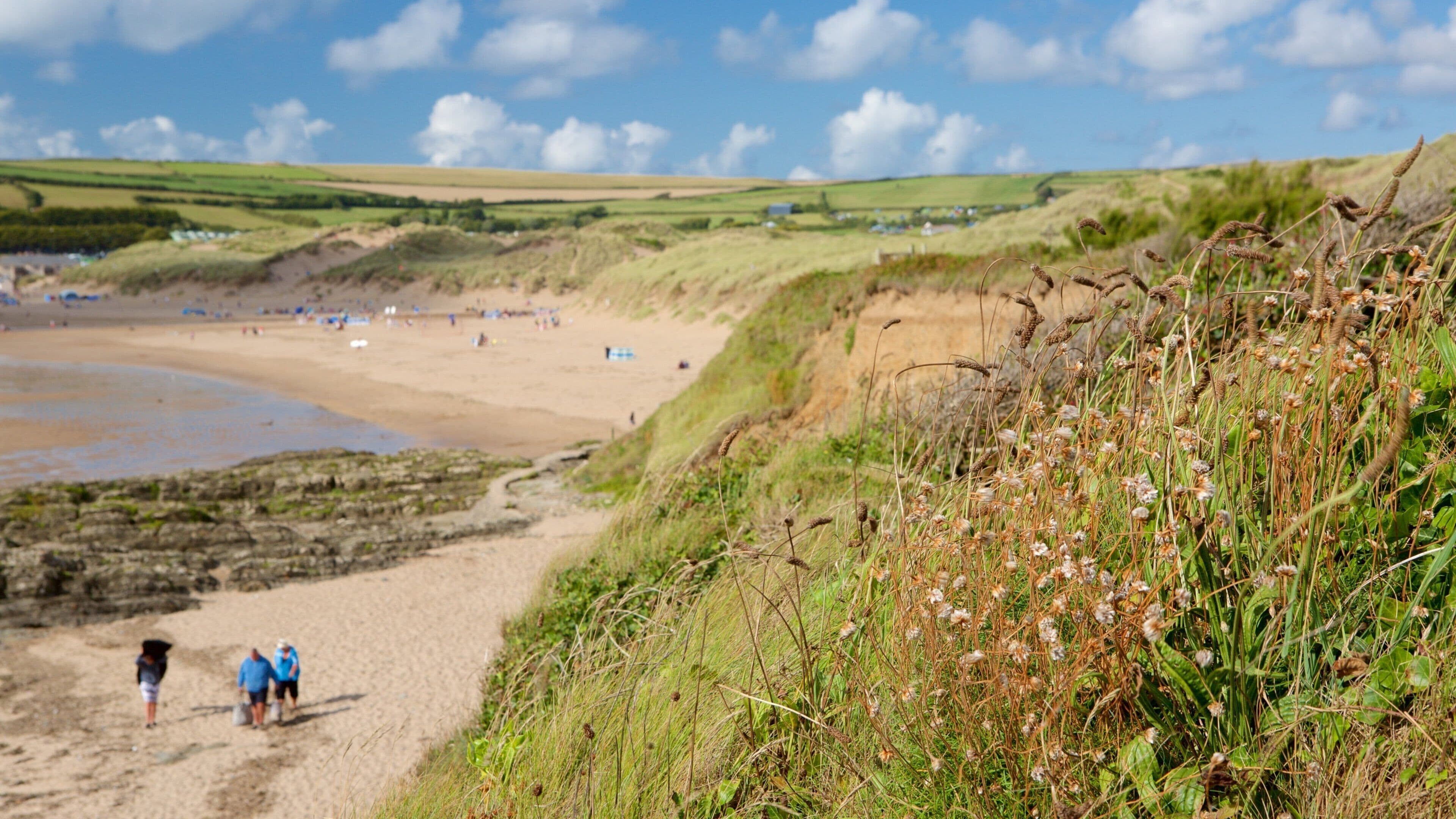 A beach with people walking, grassy dunes, and houses in the background.