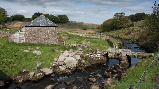 Dartmoor National Park.