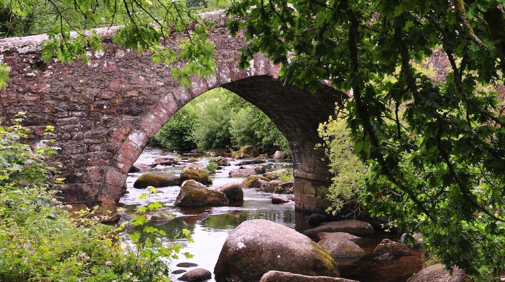 This ancient bridge near Dartmoor was a great place to stop and stretch our legs.