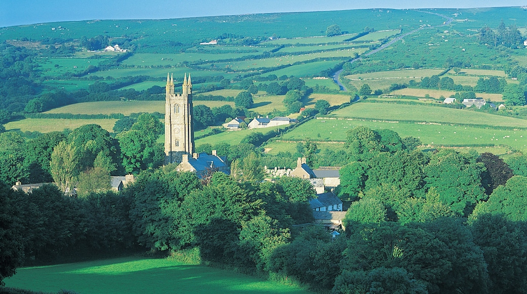 Parque nacional de Dartmoor