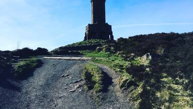 There aren't many things in darwen, Lancashire but the views on the way up to and from the tower are amazing. On a clear day you can see Blackpool tower.
So lucky to have this on my doorstep.
#walks #Scenery Grassland #views
#greatstructure