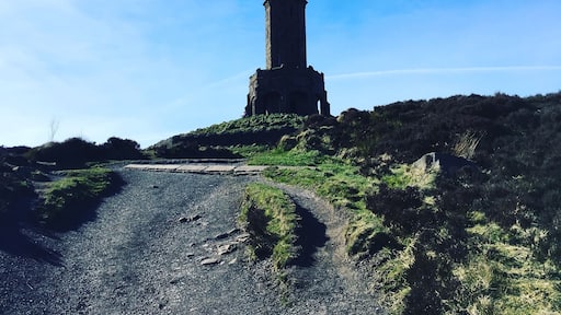 There aren't many things in darwen, Lancashire but the views on the way up to and from the tower are amazing. On a clear day you can see Blackpool tower.
So lucky to have this on my doorstep.
#walks #Scenery Grassland #views
#greatstructure
