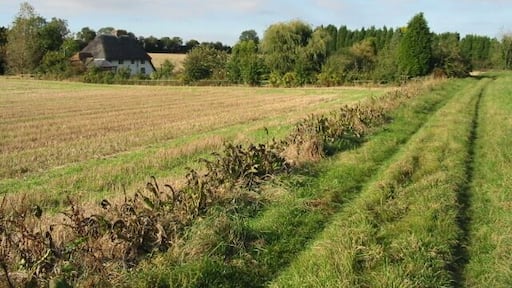 View along Footpath towards Venson Farm