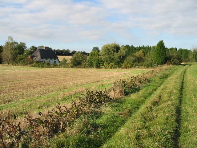 A rural landscape with a field, a thatched-roof house, and a line of trees in the background.