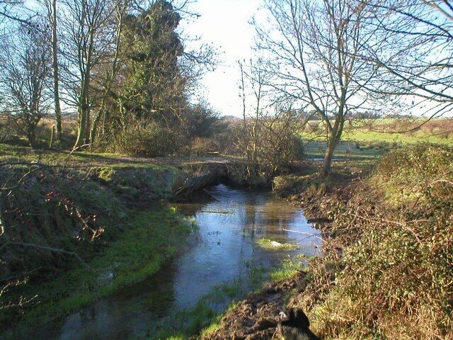 Mongeham Brooks Section of Stream going through Mongeham Brooks from Northbourne.