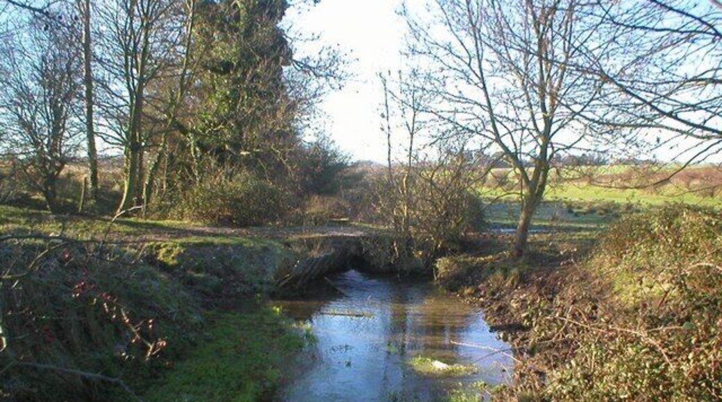 Mongeham Brooks Section of Stream going through Mongeham Brooks from Northbourne.