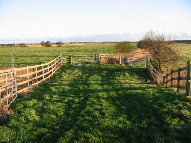 Farmland in the Lydden Valley