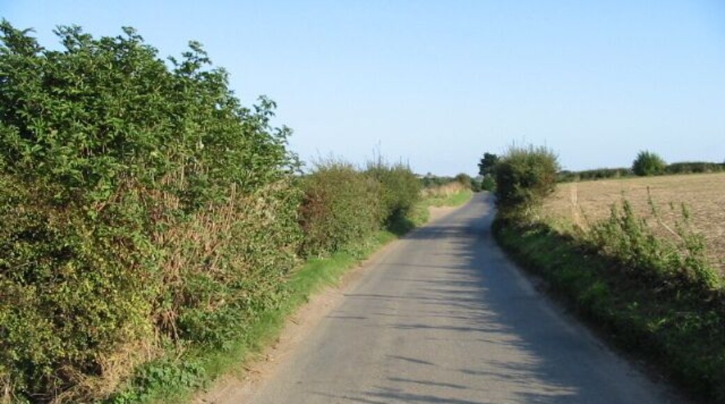 View along Ellens Road Ellens Road runs from Great Mongeham to Walmer