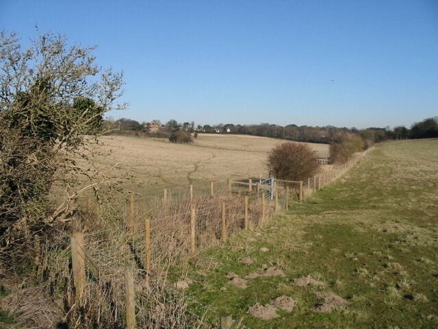 Looking N from the Deal Road towards Northbourne