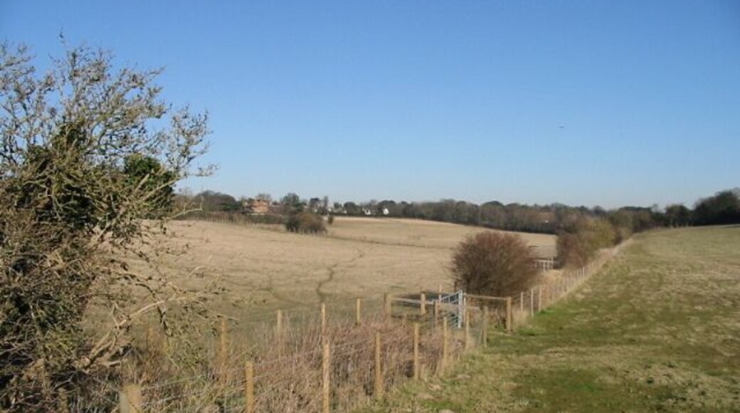 Looking N from the Deal Road towards Northbourne