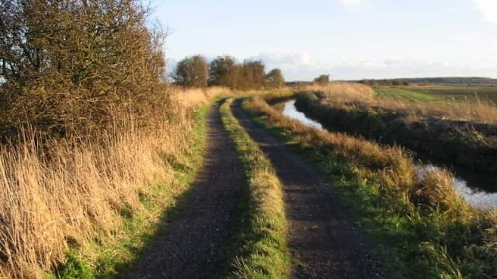 A narrow rural path curving through a field with a small stream on one side.