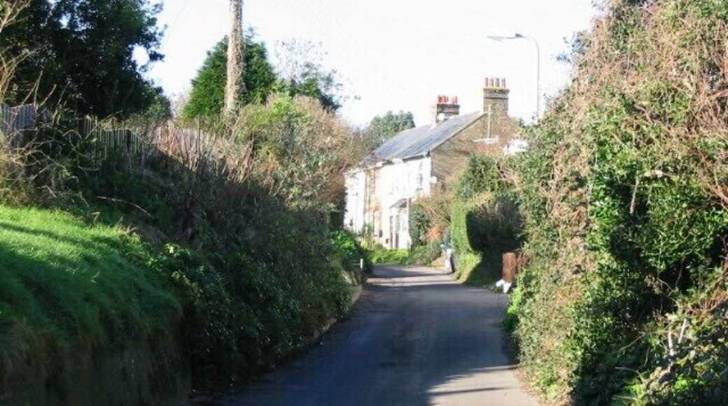 Cherry Lane, Great Mongeham
