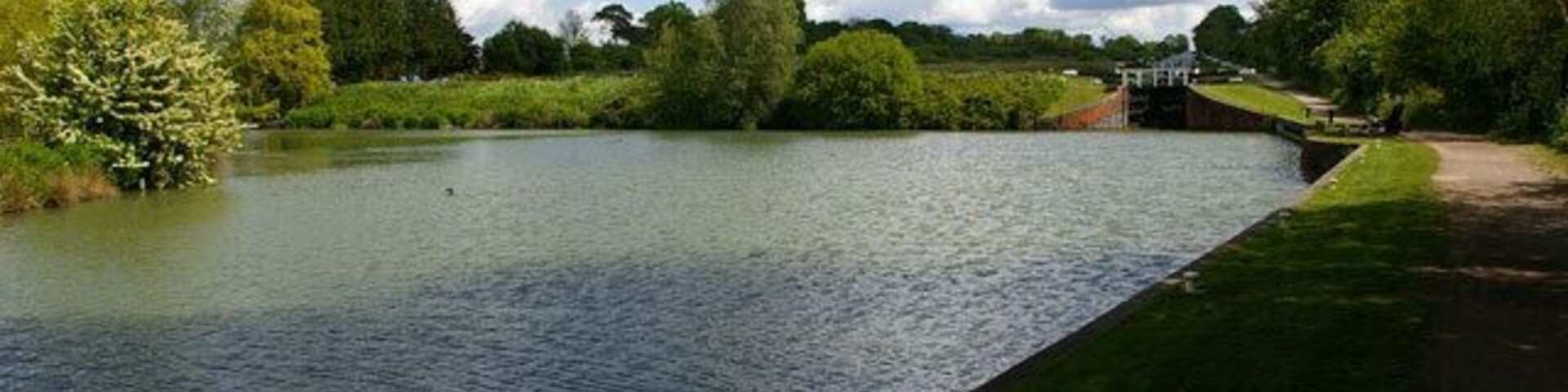 Une rivière paisible, bordée d’une rive herbeuse, avec des arbres et un pont en arrière-plan.
