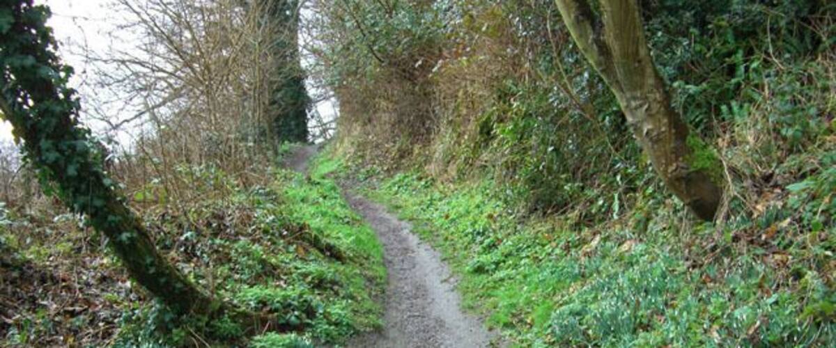 A narrow, gravel path winding through a forested area with green foliage and trees.
