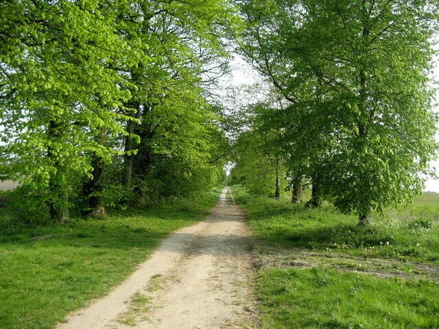 Quakers' Walk Avenue of trees guard this footpath that leads from the Kennet and Avon Canal in Devizes towards Roundway. It has also been adapted by the Wessex Ridgeway.