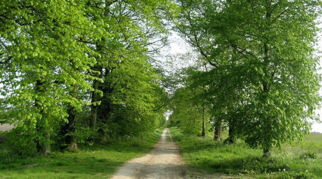 Quakers' Walk Avenue of trees guard this footpath that leads from the Kennet and Avon Canal in Devizes towards Roundway. It has also been adapted by the Wessex Ridgeway.