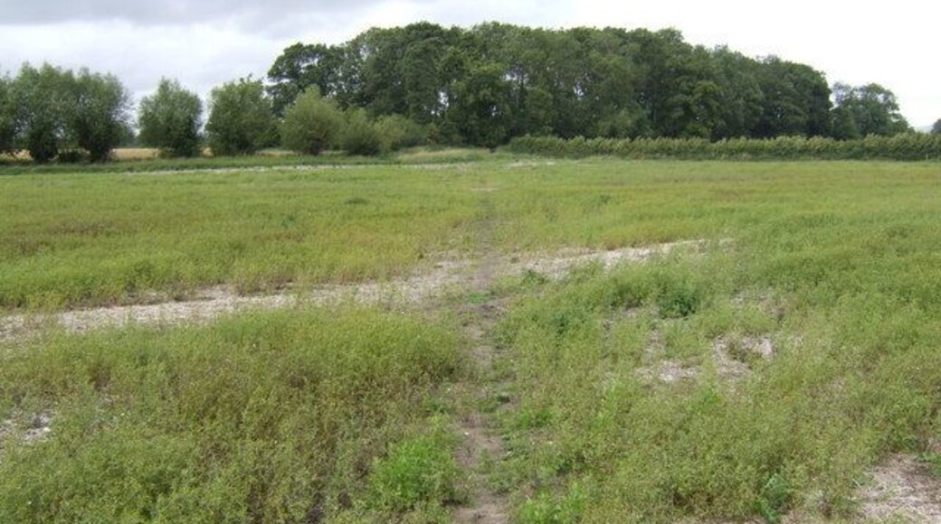 Footpath north of Wedhampton Skirting the unnamed wood ahead to ultimately double back on itself! This presumably avoided unpassable land in the lowest part of the Vale of Pewsey.
