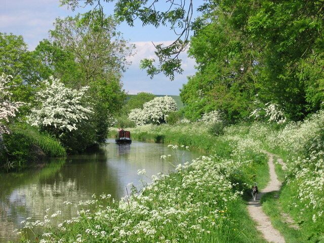 Kennet and Avon Canal with boat and Nippa This was taken in May 2004 looking along the canal to the North East