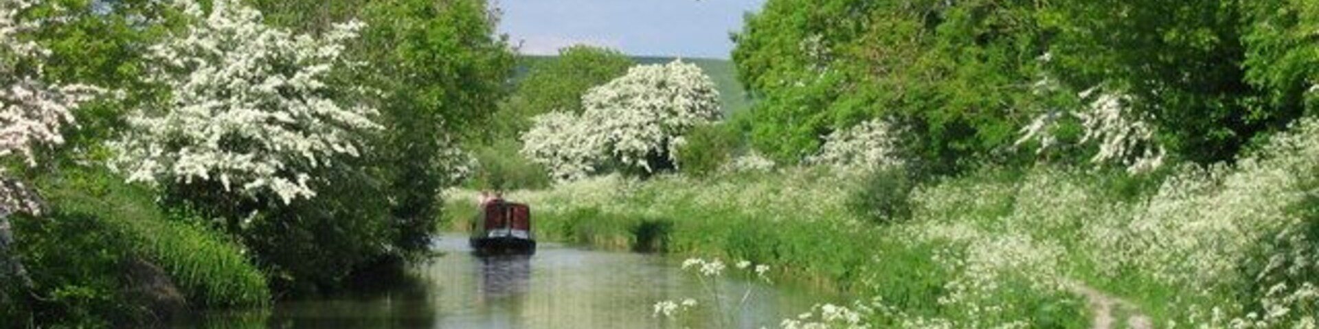 Kennet and Avon Canal with boat and Nippa This was taken in May 2004 looking along the canal to the North East