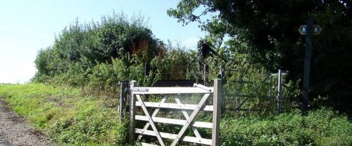 A wooden gate on a rural road with greenery and a clear sky in the background.