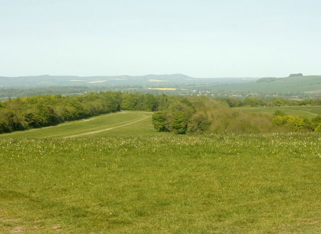 North east from Stoke Hill From the Salisbury Plain escarpment. Great Cheverell is in this direction with Potterne and Urchfont further on. A field of oilseed rape stands out like a beacon in the distance.