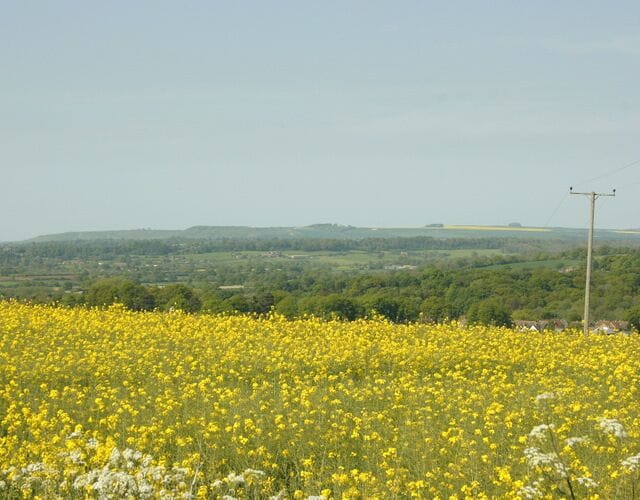 North east from Strawberry Hill Looking across the western end of the Vale of Pewsey. One of the white horses can be seen as a whitish smudge on the far hillside. Not sure which one it is, all I can tell you it is facing the wrong way to be the one near Alton Barnes.