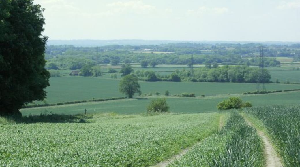 North west from Consciences Lane On a field track heading down the escarpment near Roundway Hill. Farmland and woods beyond.