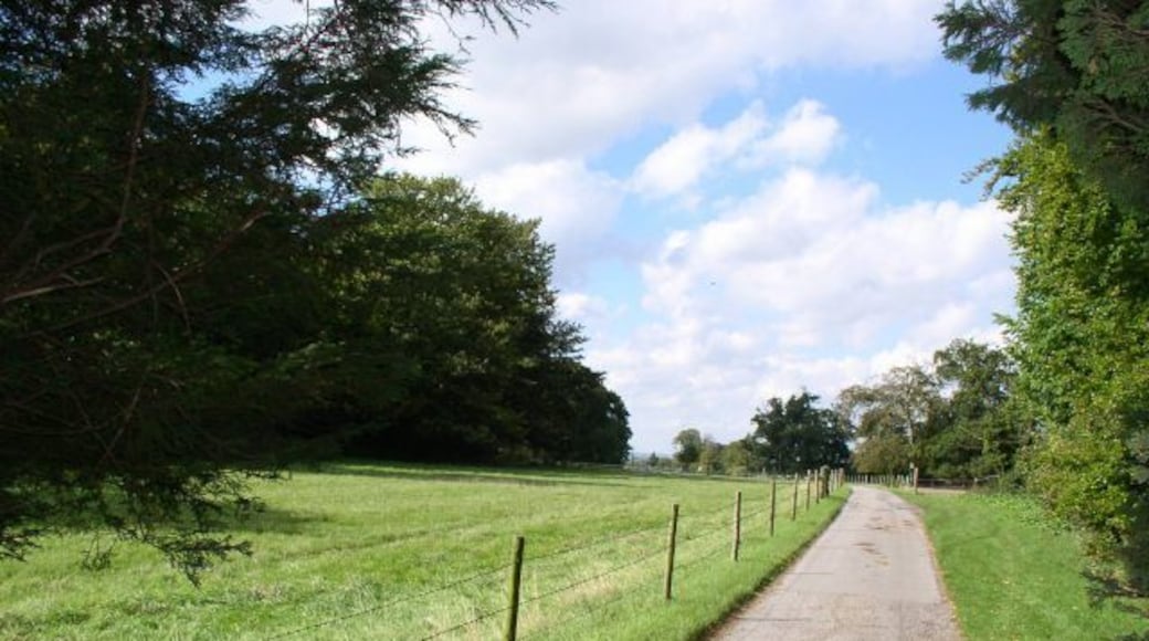 The Drive to Roundway House. This was the home of Lord Roundway.