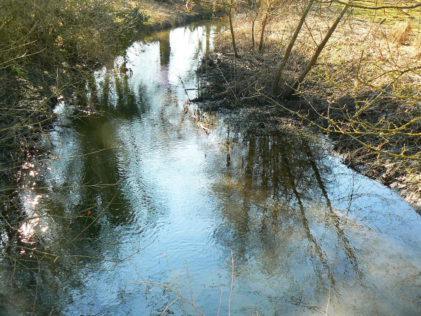 Watercourse, Patney This is a west-facing upstream view of the small watercourse that eventually becomes the River Avon. Four separate streams have joined this section to the west to form what is seen here.