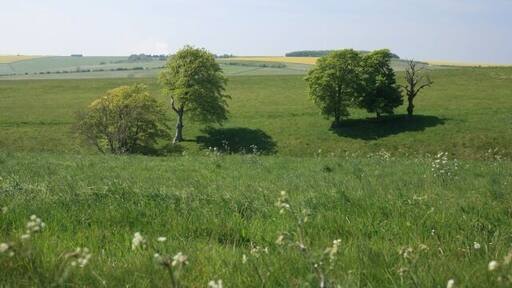 View across fields towards Coulston Hill