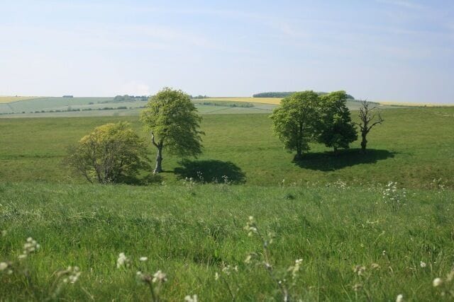 A grassy field with three trees and rolling hills in the background.