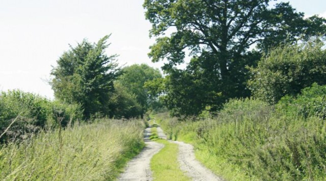 Byde Mill Lane (track) Heading west out of Townsend into some very pleasant farmland.