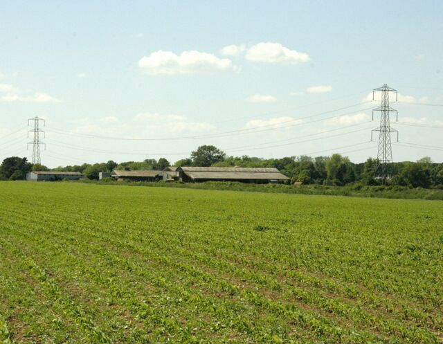 A green field with a barn and power lines in the background.