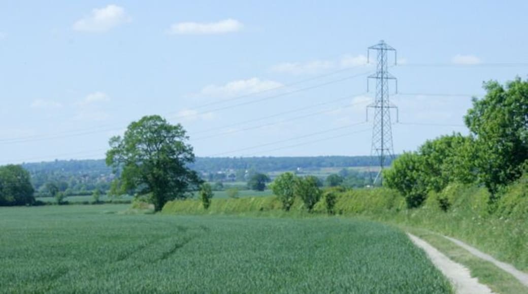 Wheatfield and farm track on Roundway Hill Seen from Consciences Lane.